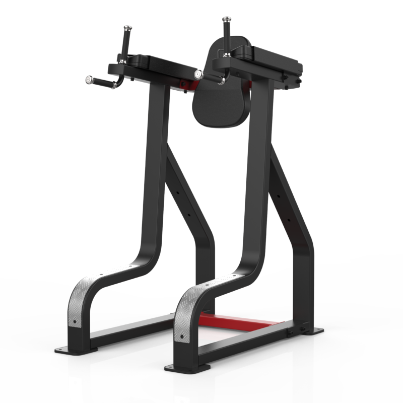 Vertical Knee Raise + Opt