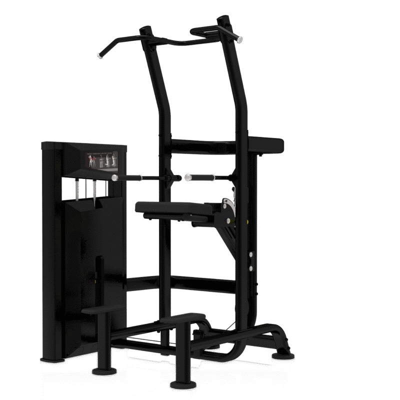 Weight Assisted Chin Dip Combo